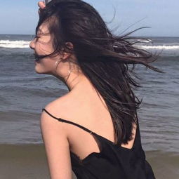 见缝插刀无敌版